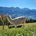 Koenigin Der Alpen *