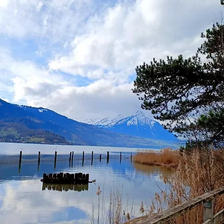 Koenigin Der Alpen 公寓 贝阿滕贝格