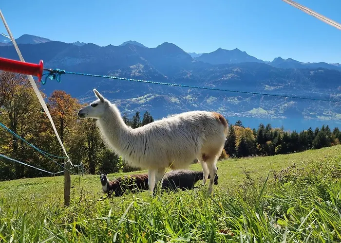 Koenigin Der Alpen *