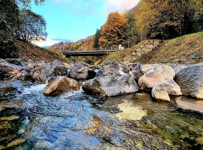 Koenigin Der Alpen *