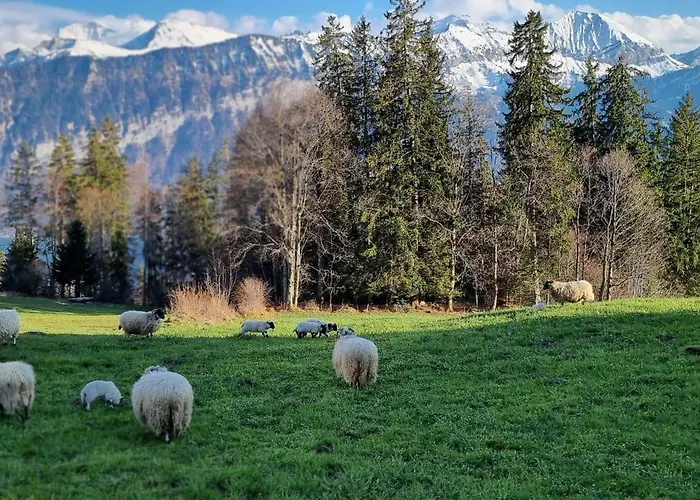 Koenigin Der Alpen *