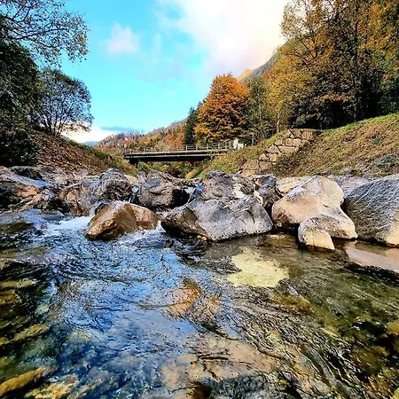 Koenigin Der Alpen *