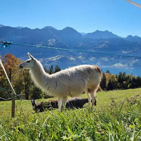 Koenigin Der Alpen *
