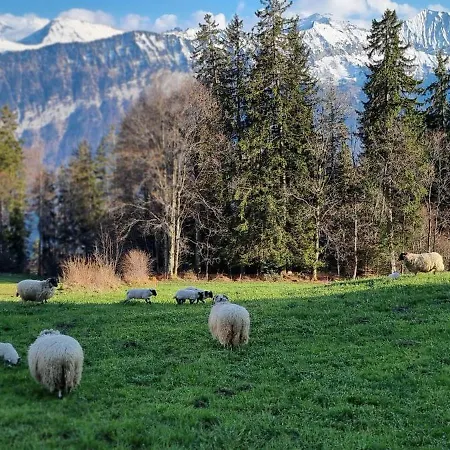 Koenigin Der Alpen *